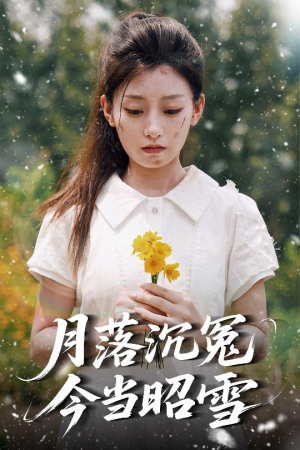 月落沉冤今当昭雪（60集）西瓜视频免费看短剧
