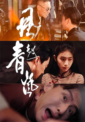 风起青岚（96集）热门小说改编短剧