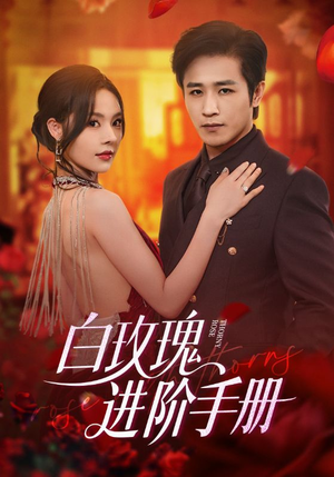 白玫瑰进阶手册（64集）免费的短剧就是爽