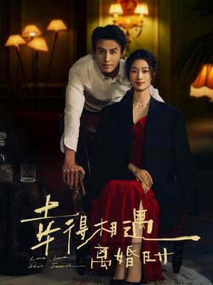 幸得相遇离婚时（81集）好评如潮的排行榜前十短剧