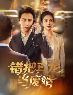 错把真龙当废婿（60集）热门火爆短剧推荐