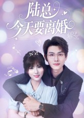 陆总今天要离婚（81集）一口气追完全集短剧