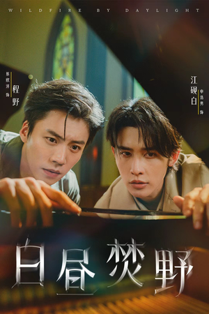白昼焚野（70集）热门短剧在线观看