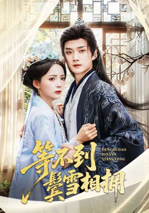 等不到鬓雪相拥（61集）全部免费观看全集