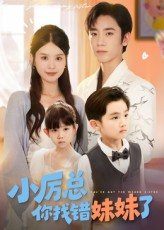 小厉总你找错妹妹了（52集）短剧全集在此免费观看