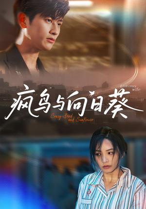 疯鸟与向日葵（40集）短剧来了抢先观看