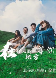 在有风的地方等你（32集）红果短剧免费全集看