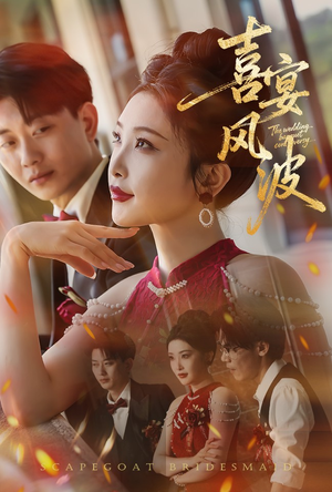 喜宴风波（30集）免费看全网短剧