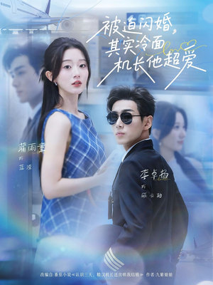 被迫闪婚其实冷面机长他超爱（77集）一口气看完热门短剧