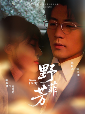 野芳菲（60集）全集短剧都可以免费看