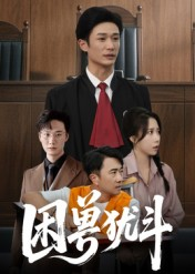 困兽犹斗（50集）最新火爆短剧抢先看全集