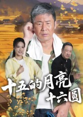 十五的月亮十六圆（60集）短剧大结局完美收官
