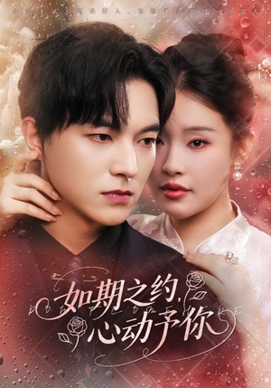 如期之约心动予你（82集）短剧全集大结局完整版