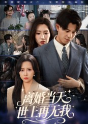离婚当天世上再无我（60集）短剧更新抢先看