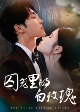 囚笼里的白玫瑰（59集）百亿好看短剧推荐
