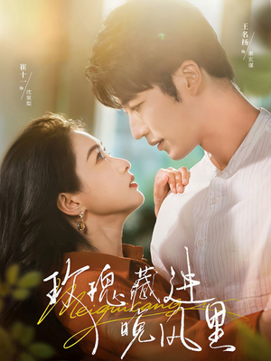 玫瑰藏进晚风里（68集）短剧全集完整版