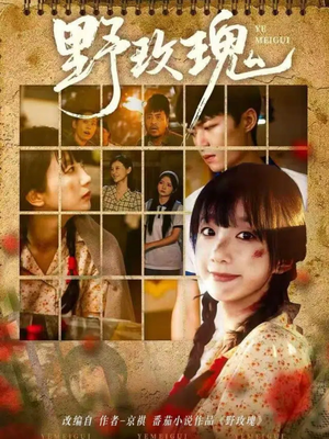 野玫瑰（82集）红果免费看短剧