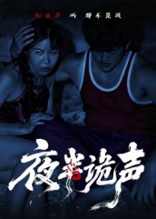 夜半诡声（28集）一口气全集短剧免费观看