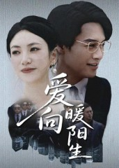爱向暖阳生（50集）西瓜短剧免费看