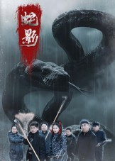 蛇影(25集) 蛇影(25集)重生短剧热门短剧推荐