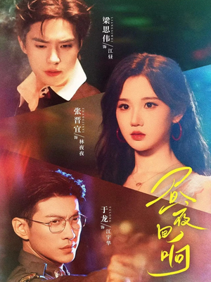 昼夜回响（76集）超好看短剧追不停