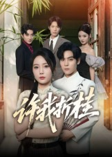 许我折桂（70集）又一部超火短剧抢先看全集