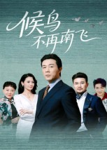 候鸟不再南飞（80集）最热短剧抢先看