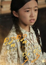 昭昭岁岁(30集) 昭昭岁岁(30集)都市生活短剧免费在线观看