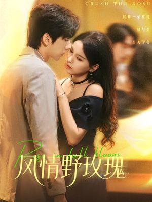 风情野玫瑰（70集）短剧来了抢先观看