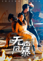 无声风暴（33集）好看短剧来袭抢先看