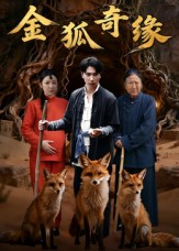 金狐奇缘（42集）免费观看排行榜前十短剧全集