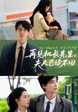 再见机长先生夫人已读不回（62集）免费观看完整版短剧