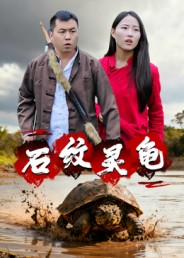 石纹灵龟（30集）全集短剧免费完整版在线观看