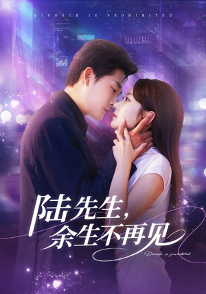 陆先生,余生不再见(88集) 陆先生,余生不再见(88集)热播短剧全集看
