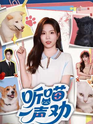 听喵一声劝（60集）在哪里可以看全集短剧