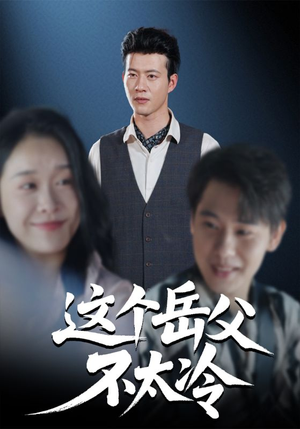 这个岳父不太冷（30集）超好看短剧追不停