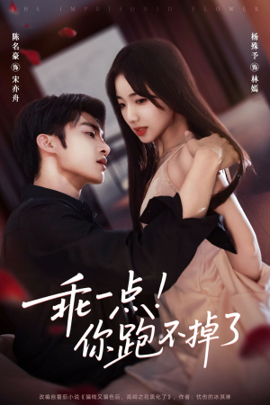 乖一点!你跑不掉了(85集) 乖一点!你跑不掉了(85集)免费短剧完整版在线观看