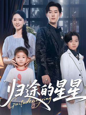 归途的星星（100集）短剧在哪个平台