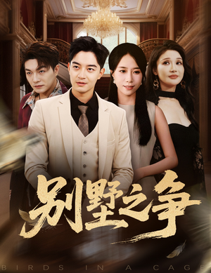 别墅之争（59集）短剧精选全集无广告