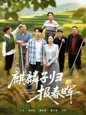 麒麟子归报春晖（36集）好看的国产短剧