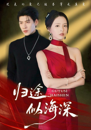 归途似海深（61集）真的太好看了短剧排行榜