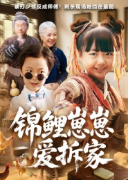 锦鲤崽崽爱拆家（80集）让你看了就停不下来的精彩短剧