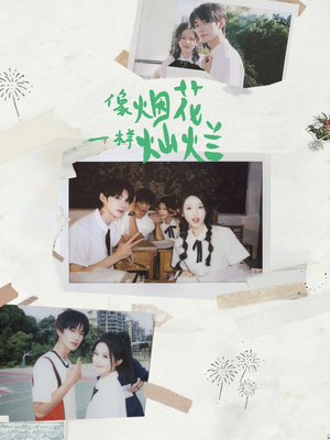 像烟花一样灿烂(60集) 像烟花一样灿烂(60集)一起追生活短剧