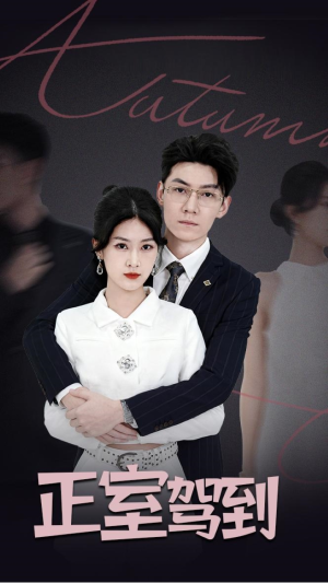 正室驾到（35集）更新短剧精彩不断