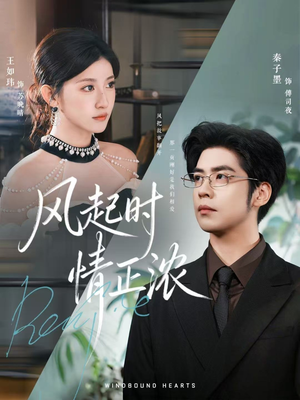 风起时情正浓(79集) 风起时情正浓(79集)河马短剧免费看全集