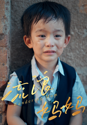 流浪妈妈（30集）都市生活短剧免费在线观看