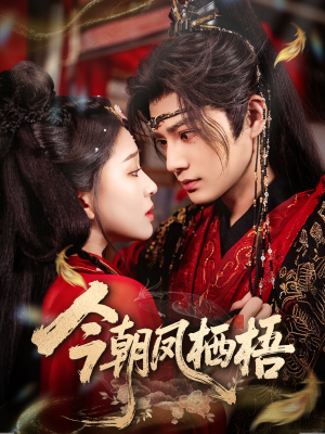 今朝凤栖梧（68集）短剧热门推荐不容错过