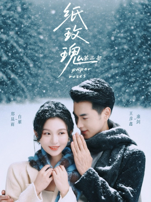 纸玫瑰第二部（80集）重生短剧免费看全集资源