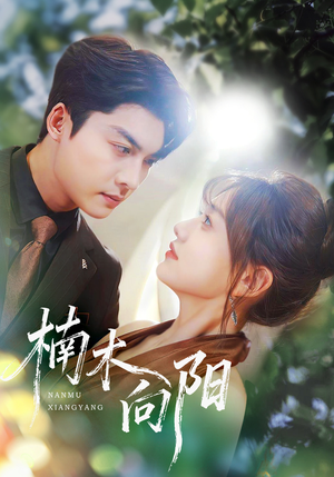 楠木向阳（70集）穿越短剧推荐排行榜