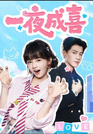 一夜成喜(60集) 一夜成喜(60集)每晚准时更新分享